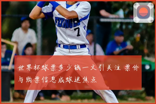 世界杯球票多少钱一文引关注 票价与购票信息成球迷焦点
