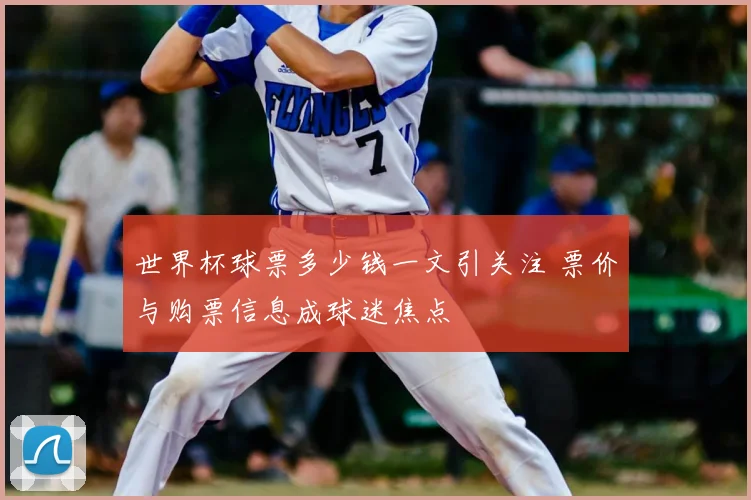 世界杯球票多少钱一文引关注 票价与购票信息成球迷焦点