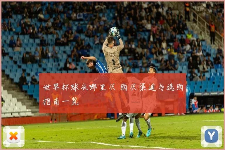 世界杯球衣哪里买 购买渠道与选购指南一览