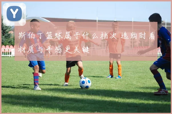 斯伯丁篮球属于什么档次 选购时看材质与手感更关键